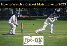How to watch a Cricket Match Live in 2023